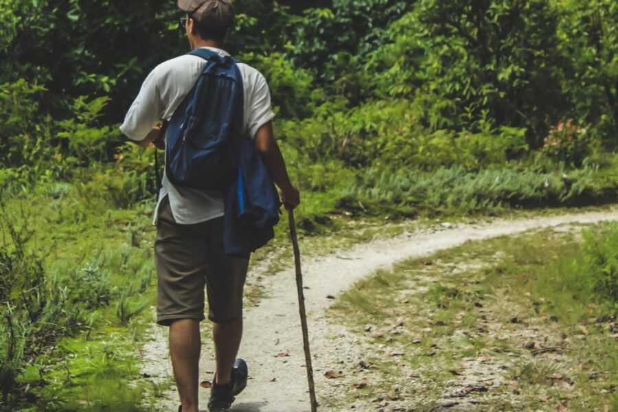 pexels saroj gajurel 1392099 scaled e1705396981466