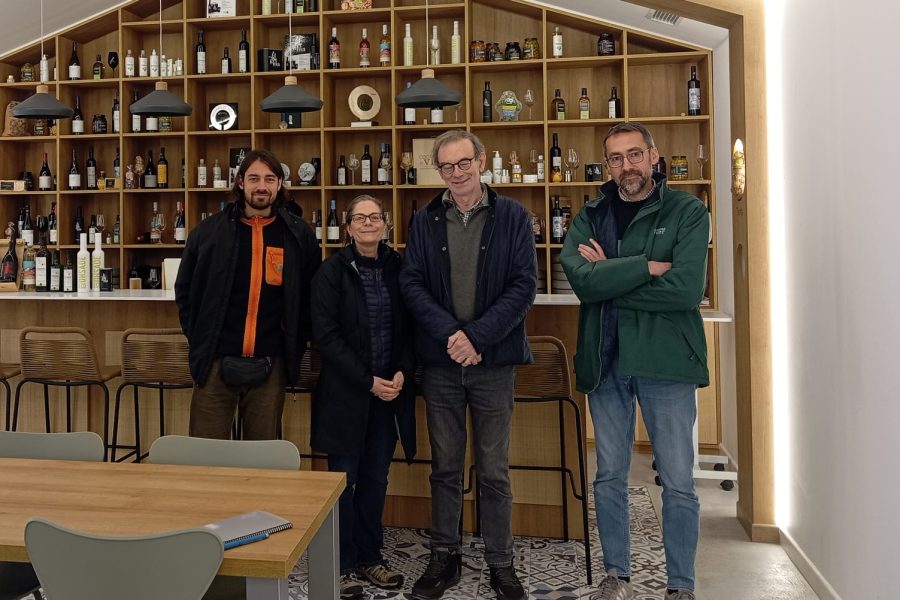 Imagen de WhatsApp 2025 03 17 a las 11.30.55 ff93462f e1742566575122