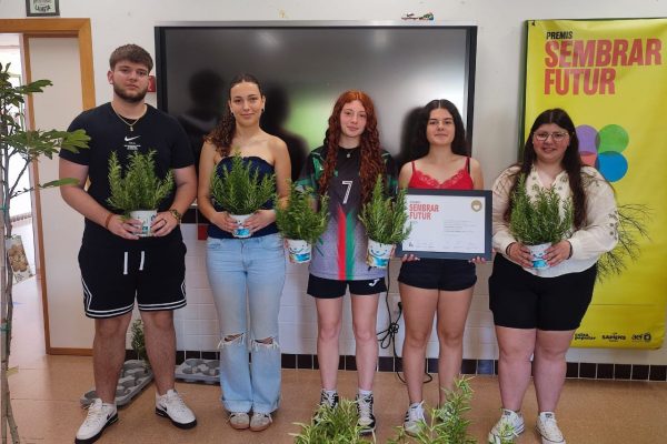 IMG_20250617_213328_322