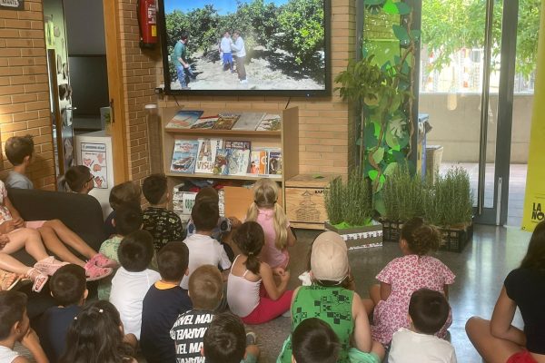 WhatsApp Image 2025-06-17 at 11.26.56 (1)