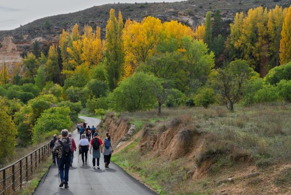 Rememorant la 4ª Trobada amb el País-satge: «La Vida al Racó» 1 00004836