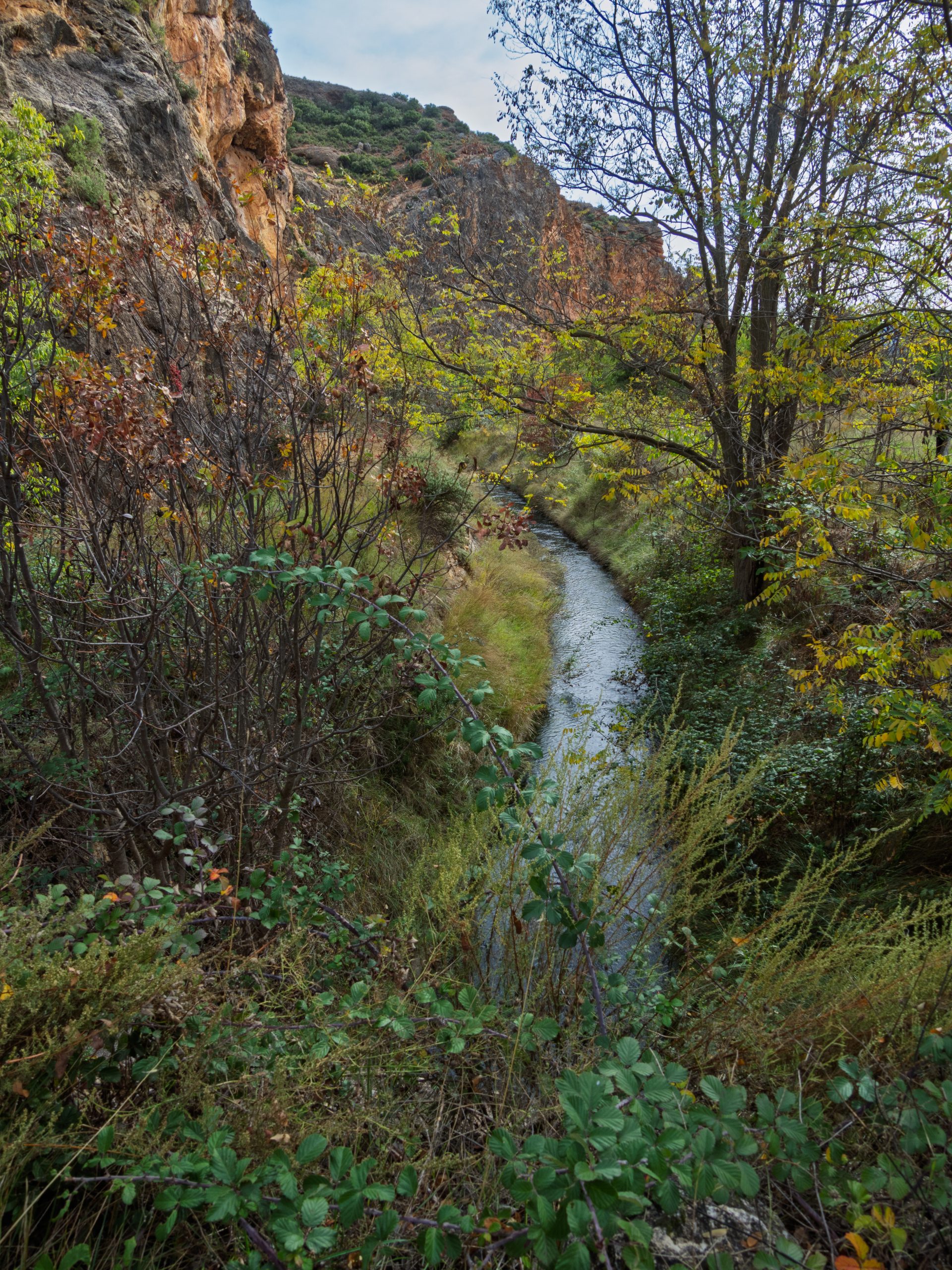 Rememorant la 4ª Trobada amb el País-satge: «La Vida al Racó» 3 00004865 scaled