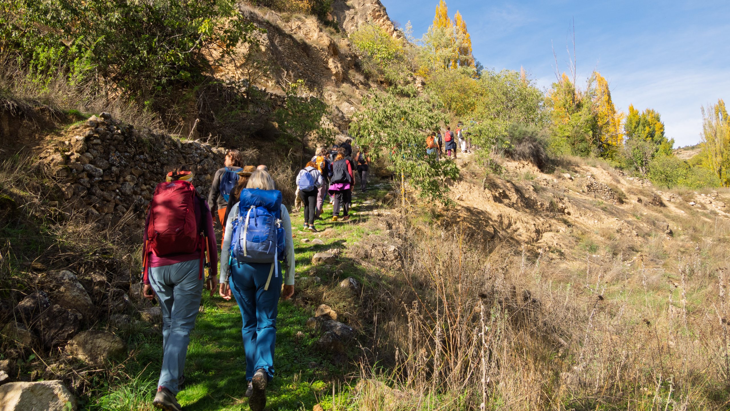 Rememorant la 4ª Trobada amb el País-satge: «La Vida al Racó» 6 00004920 scaled